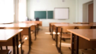 sin clases chihuahua.jpg