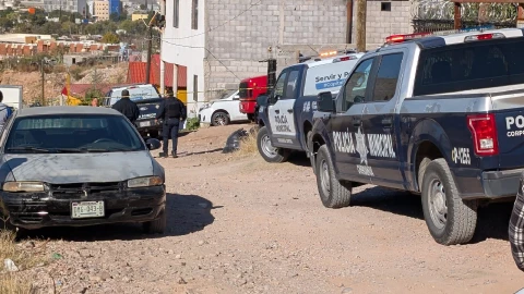 Sin vida Chihuahua.jpg