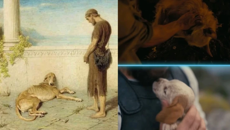 La Odisea de Christopher Nolan: Quién es el perro Argos 