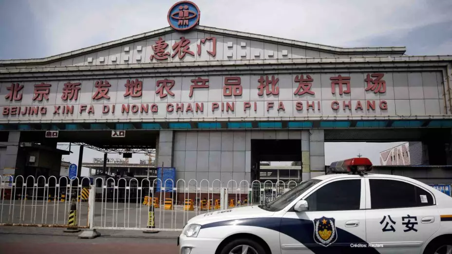 salmon Covid 19 mercado china.jpg