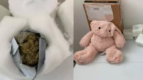 oso peluche marihuana guardia nacional.jpg