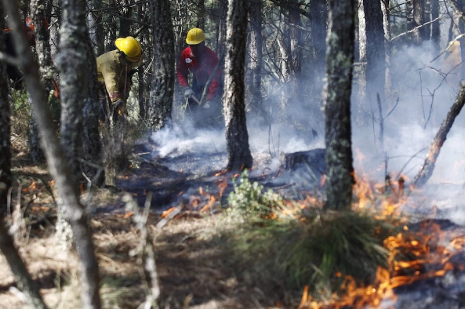Incendios Forestales