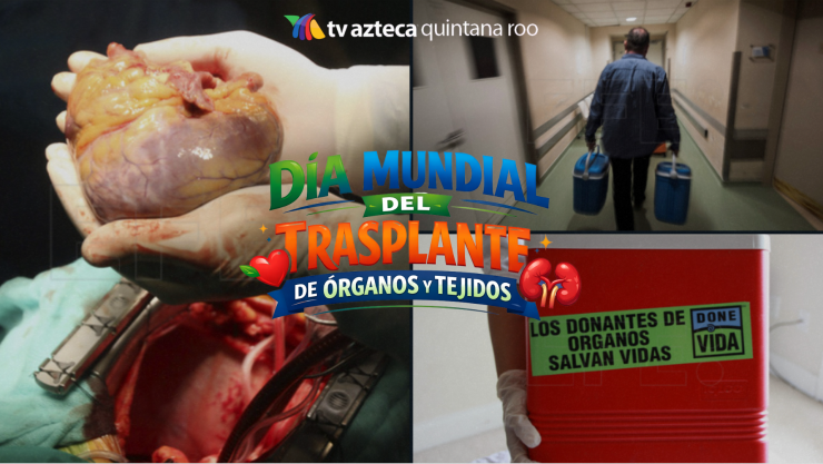 ¡OJO AQUÍ! Día Mundial del Trasplante de Órganos impulsa la cultura de donación que puede salvar miles de vidas