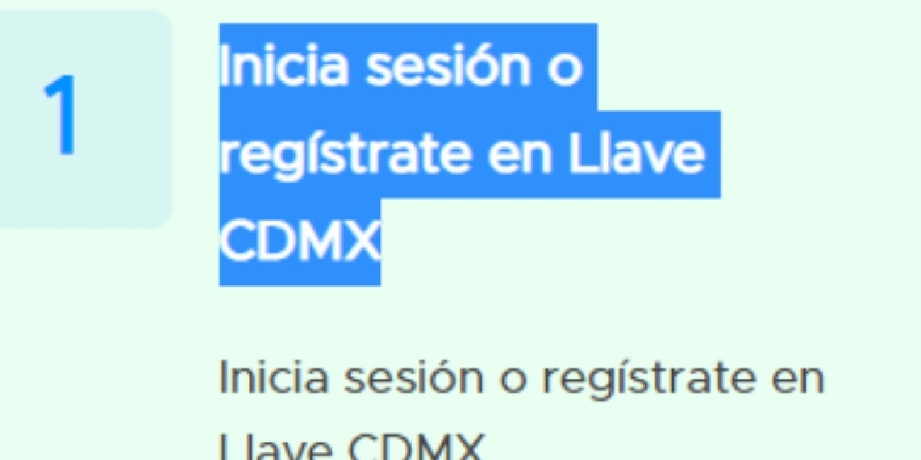 paso uno recibir apoyo cdmx.jpg