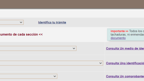 Segundo paso para tramitar INE
