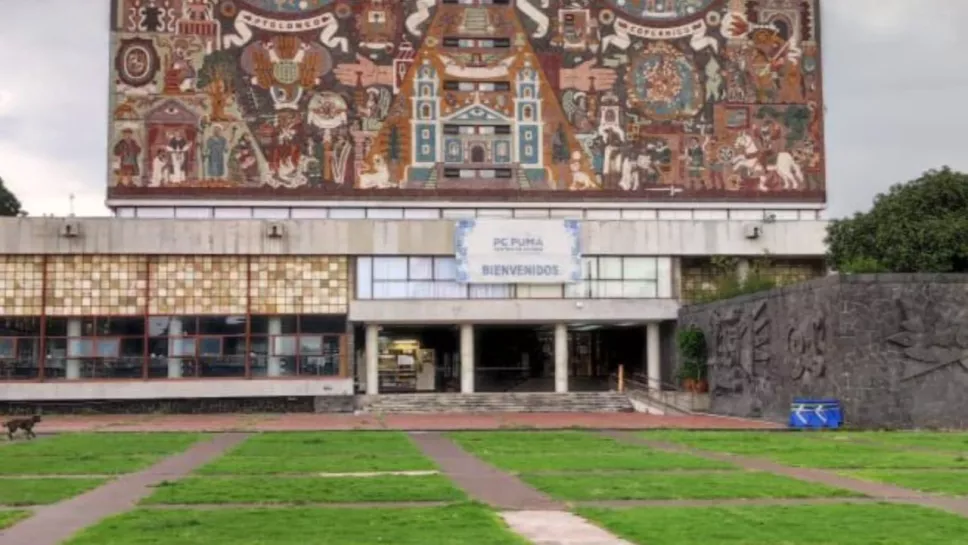 Detienen a mujer por vender brownies de marihuana en Ciudad Universitaria