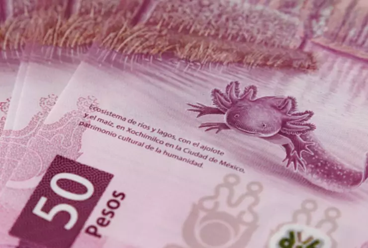 Billetes_falsos_México_2024