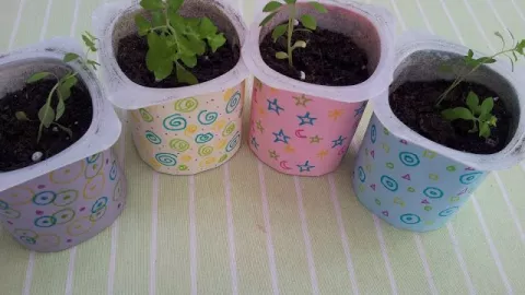 7 ideas para reciclar los botes de yogurt y darles una segunda vida en el hogar