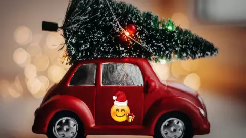 Cuando poner el arbolito de navidad.