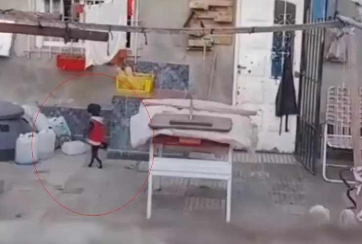 Captan a perro caminando en dos patas (VIDEO)