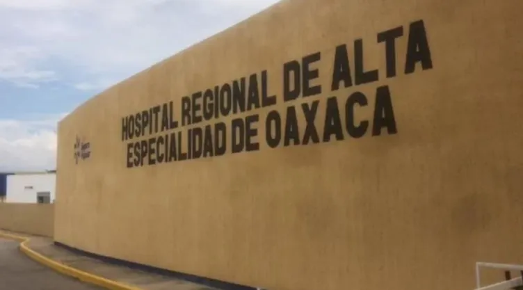 hongo-negro-oaxaca.jpg