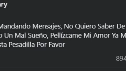 maria-isabel-escribe-mensaje-lefty-sm