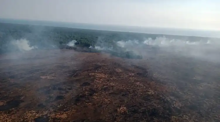 INCENDIO CHIAPAS (7).jpeg