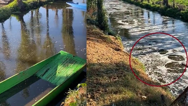 burbujean canales tláhuac y xochimilco tras sismo