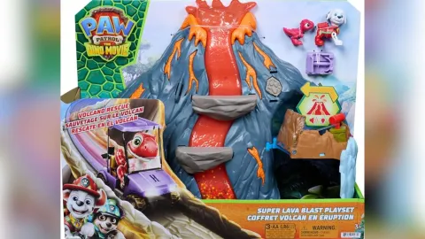 juguetes de paw patrol niños 3 a 5 años socializar