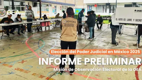 Elecci&oacute;n Judicial OEA.