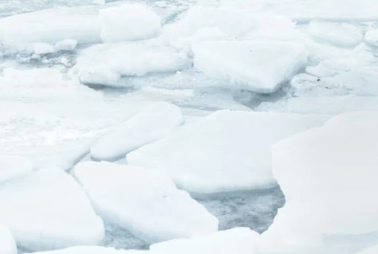 Hermanos se lanzan para salvar a su hermano menor y los 3 mueren