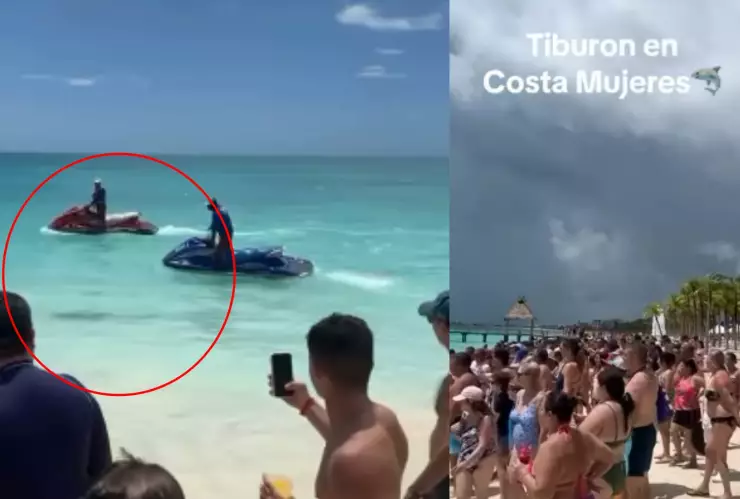 VIDEO_ Así fue como un tiburón sorprende a bañistas en Costa Mujeres en Cancún.jpg