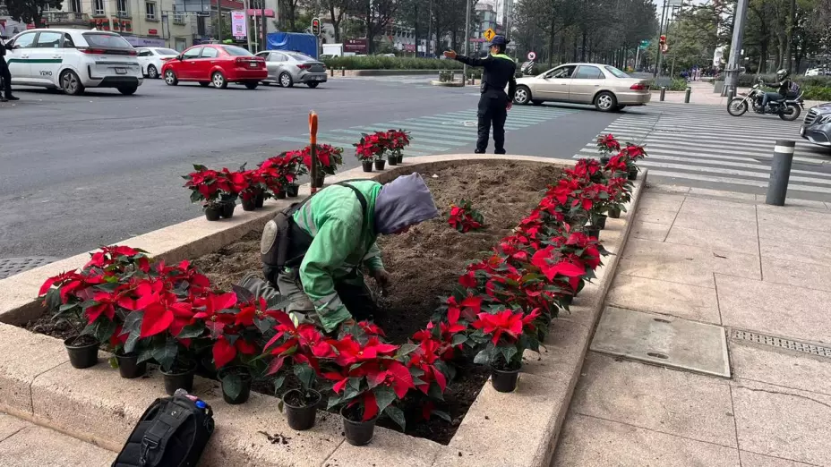 CDMX 13 de noviembre.jpg