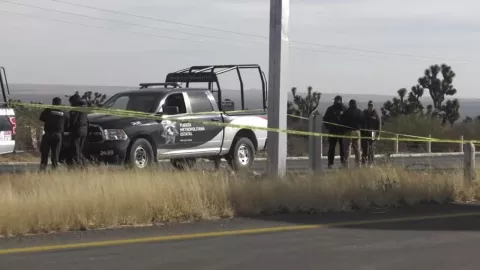 Hallan 7 cuerpos en Zacatecas.