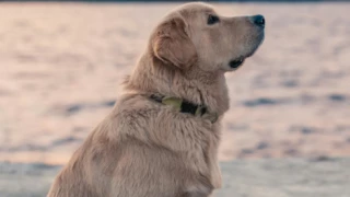 Captura de pantalla 2025-07-30 161346.png