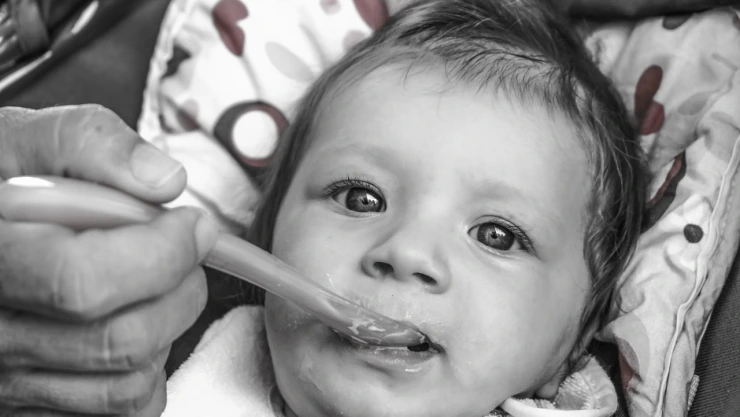 Alertan por riegos de micotoxina en papilla para bebés; ¿de qué marca?