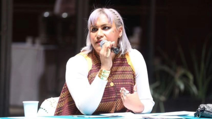 “Soy una perra” Diputada de Morena tras comparecencia del secretario de Hacienda