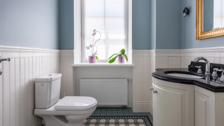 La forma correcta de limpiarse después de ir al baño, según la ciencia