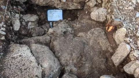 ¡Impactante! Hallan vestigios mayas con más de 2 mil años de antigüedad en Ucú; esto se sabe