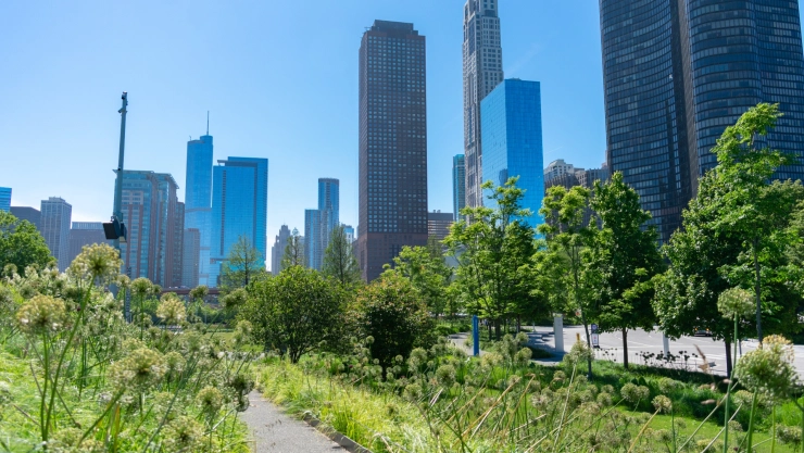 un parque en el barrio de Streeterville, Chicago.