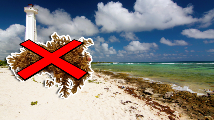 Conoce las playas libres de sargazo en Tulum, Carrillo Puerto, Bacalar, Mahahual y Chetumal HOY 22 de septiembre de 2025.jpg