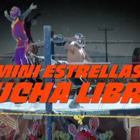 Luchadores