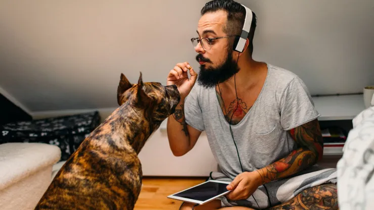 perros humanos