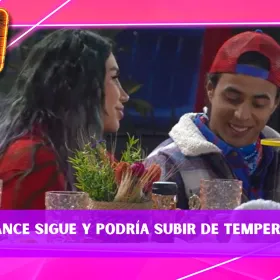Bebeshita y Bicolor.jpg