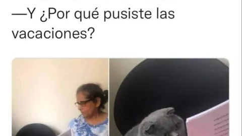 Feliz Día del Maestro: Los mejores memes de este 15 de mayo