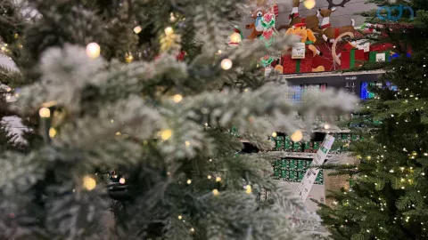 &aacute;rbol de navidad cu&aacute;ndo se pone