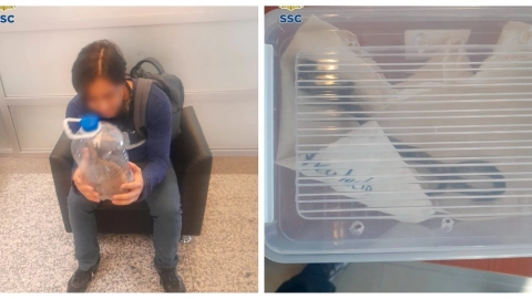 Joven salvó a una serpiente en la Línea B del Metro CDMX y la quería liberar en el Bosque de Chapultepec