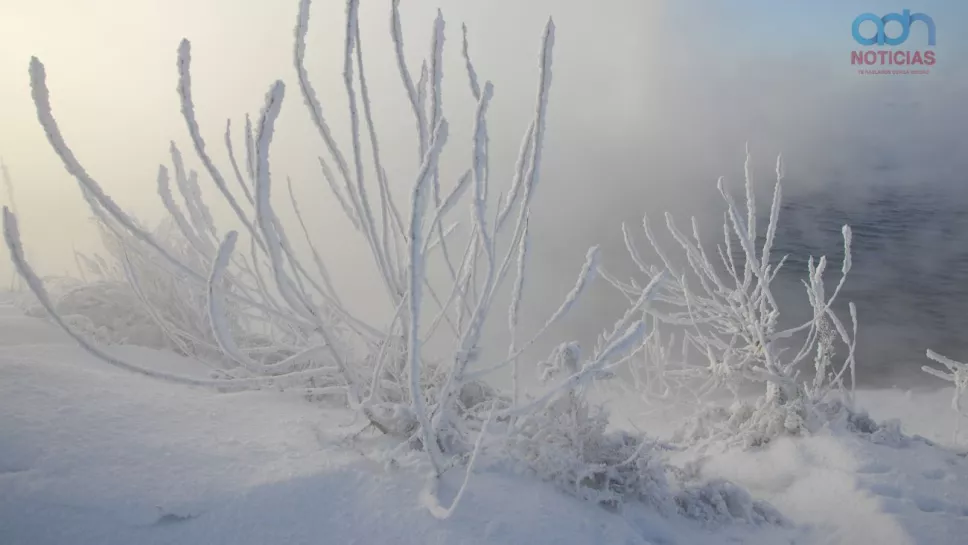 Los estados afectados por el frente frío 13