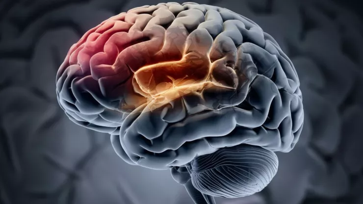 10 síntomas del Alzheimer que podrían ser señales iniciales.jpg