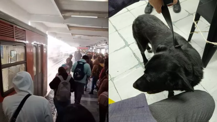 Metro CDMX EN VIVO: ¿Qué está pasando hoy sábado 28 de septiembre de 2024?Rescatan a perrito en la Línea 2