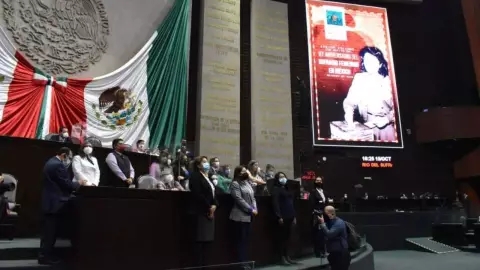 asf camara diputados comparecencia.jpg