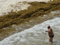 Alerta máxima en la Costa Maya de Quintana Roo: Playas de Mahahual y Xcalak invadidas de Sargazo; más de 3 mil toneladas afectan al turismo y la vida marina.