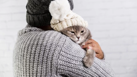 Proteger mascotas frío