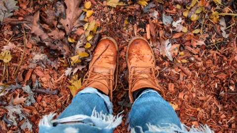 Otoño 2024 en México