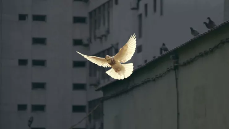 Sudán firma acuerdo de paz