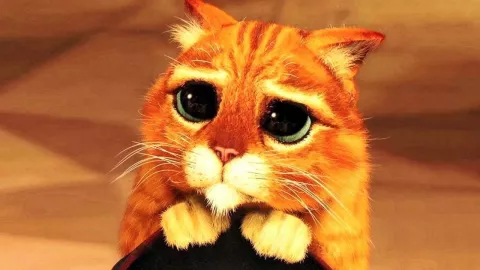 TikTok, Shrek, gatito 2.jpg