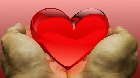 Qué órgano se trasplantó con más frecuencia en Jalisco durante 2024