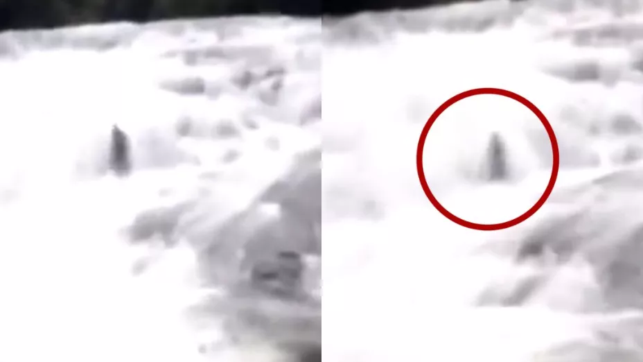 Captan extraña figura saliendo de una cascada en Brasil