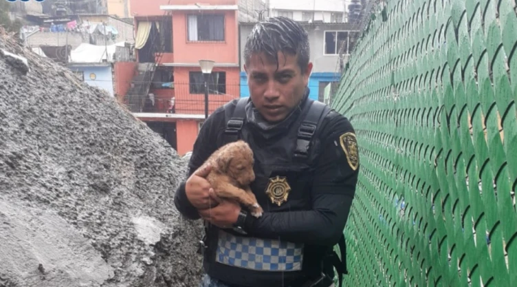 policías perrito Álvaro Obregón