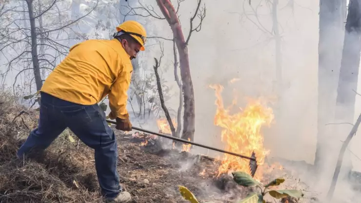 Incendios forestales Chihuahua